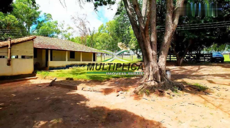 Imagem Fazenda à Venda, 1.257 m² em São João Da Ponte Imagem Fazenda à Venda, 1.257 m² em São João Da Ponte