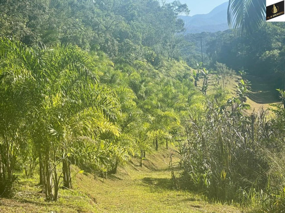 Imagem Imóvel à Venda, 20.000 m² em Zona Rural - Morretes Imagem Imóvel à Venda, 20.000 m² em Zona Rural - Morretes