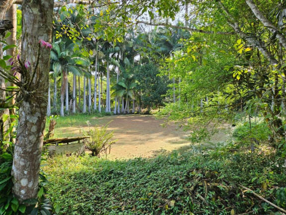 Imagem Casa com 4 Quartos à Venda, 320 m² em Pinheiros - Balneário Barra Do Sul