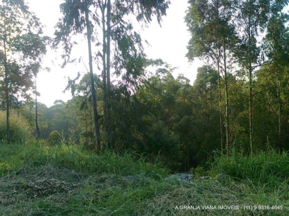 Imagem Terreno à Venda, 70.980 m² em Granja Viana Ii - Cotia Imagem Terreno à Venda, 70.980 m² em Granja Viana Ii - Cotia