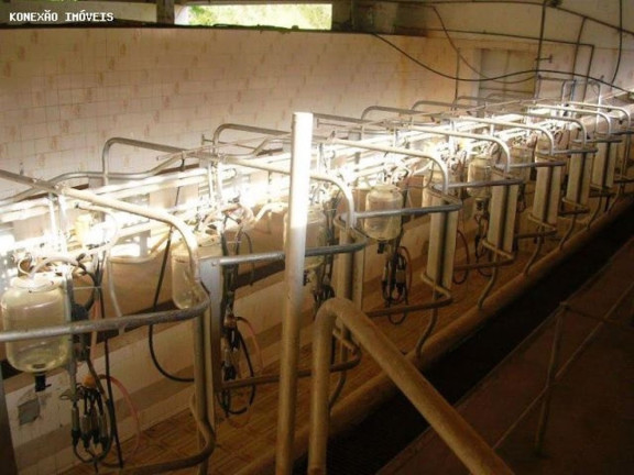 Imagem Fazenda à Venda, 1.452.000 m² em Santa Branca - Santa Branca Imagem Fazenda à Venda, 1.452.000 m² em Santa Branca - Santa Branca