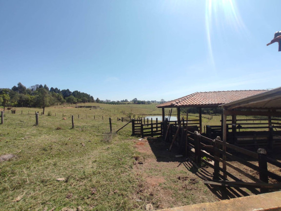 Imagem Chácara com 2 Quartos à Venda, 95.000 m² em Cercadinho - Alambari Imagem Chácara com 2 Quartos à Venda, 95.000 m² em Cercadinho - Alambari