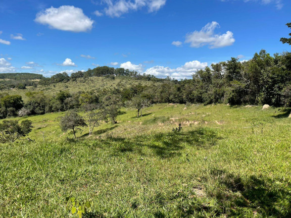 Imagem Terreno à Venda, 5 m² em Centro - Itatiaiuçu Imagem Terreno à Venda, 5 m² em Centro - Itatiaiuçu