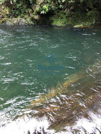 Imagem Chácara com 3 Quartos à Venda, 1.200.000 m² em Lageado Alto - Guabiruba