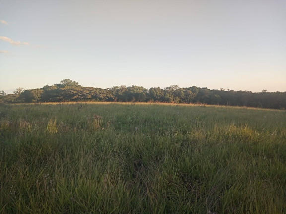 Imagem Chácara à Venda, 47.000 m² em Itapuã - Viamão Imagem Chácara à Venda, 47.000 m² em Itapuã - Viamão