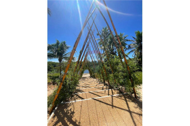 Imagem Terreno à Venda, 491 m² em Imbassai - Mata De São João Imagem Terreno à Venda, 491 m² em Imbassai - Mata De São João