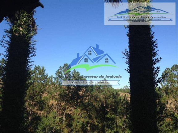 Imagem Chácara com 6 Quartos à Venda, 25.000 m² em Campo Dos Aleixo - Jarinu Imagem Chácara com 6 Quartos à Venda, 25.000 m² em Campo Dos Aleixo - Jarinu