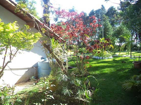 Imagem Chácara com 7 Quartos à Venda, 25.000 m² em Roseira - Piedade