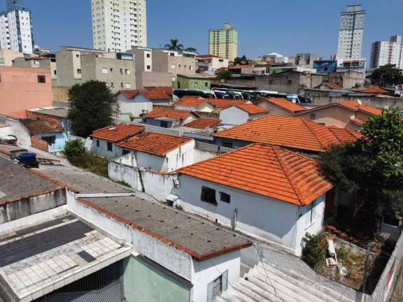 Imagem Terreno à Venda, 500 m² em Vila Príncipe De Gales - Santo André Imagem Terreno à Venda, 500 m² em Vila Príncipe De Gales - Santo André