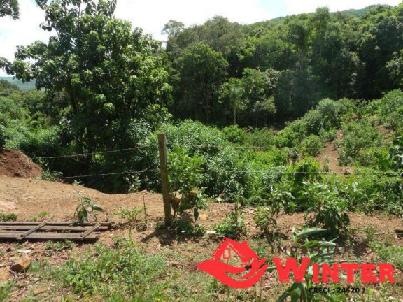 Imagem Terreno à Venda, 600 m² em Vila Nova - Vale Real