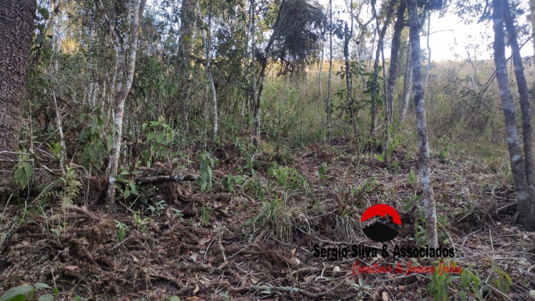 Imagem Terreno à Venda, 906 m² em Campos Do Jordão Imagem Terreno à Venda, 906 m² em Campos Do Jordão