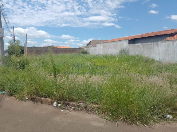 Imagem Terreno à Venda, 328 m² em Jardim Treviso - Pirassununga Imagem Terreno à Venda, 328 m² em Jardim Treviso - Pirassununga