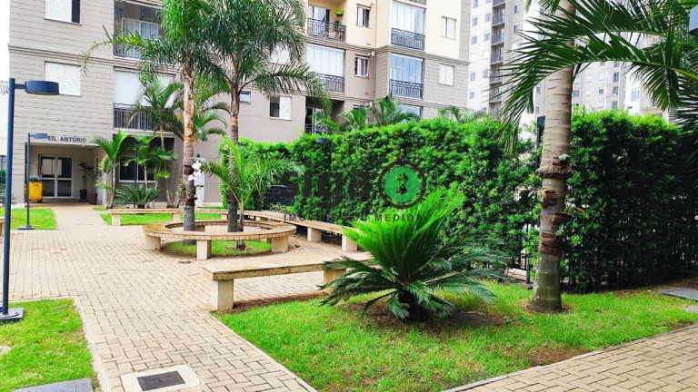 Imagem Apartamento com 2 Quartos à Venda, 52 m² em Mooca - São Paulo Imagem Apartamento com 2 Quartos à Venda, 52 m² em Mooca - São Paulo