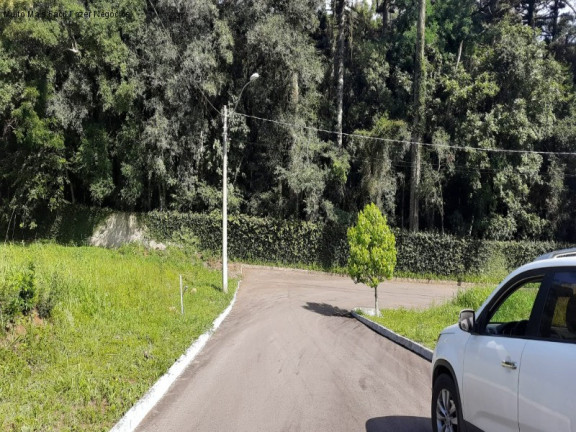 Imagem Terreno à Venda, 469 m² em Linha Imperial - Nova Petrópolis Imagem Terreno à Venda, 469 m² em Linha Imperial - Nova Petrópolis