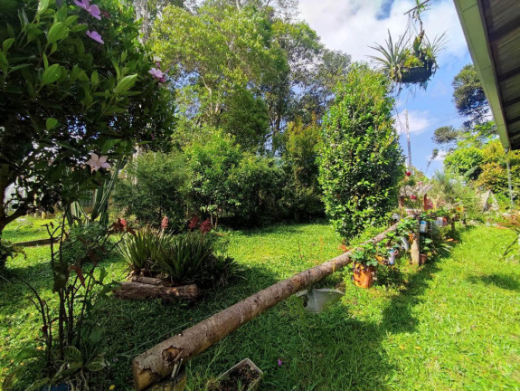 Chácara à Venda, 1.200 m² em Zona Rural - Tijucas Do Sul