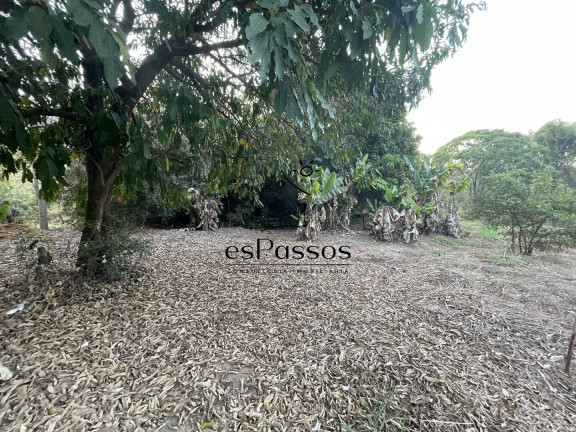 Imagem Chácara à Venda, 33.300 m² em Gameleira - Florestal