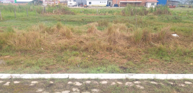 Imagem Terreno à Venda, 375 m² em Santa Luzia - Tijucas