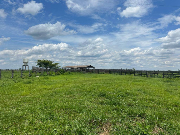 Imagem Fazenda à Venda,  em Rosário Oeste