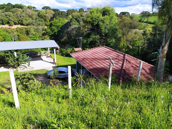 Imagem Imóvel com 3 Quartos à Venda, 27.000 m² em Centro - Contenda