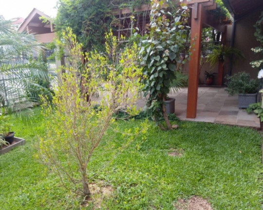 Imagem Imóvel com 5 Quartos à Venda,  em Logradouro - Nova Petrópolis