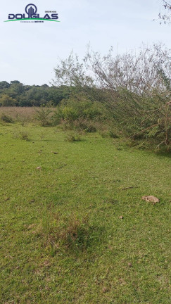 Imagem Chácara à Venda, 40.000 m² em Viamão Imagem Chácara à Venda, 40.000 m² em Viamão