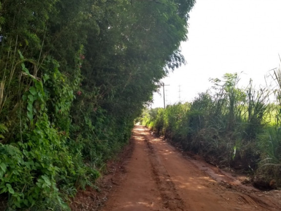 Imagem Terreno à Venda, 446 m² em Piratininga Imagem Terreno à Venda, 446 m² em Piratininga