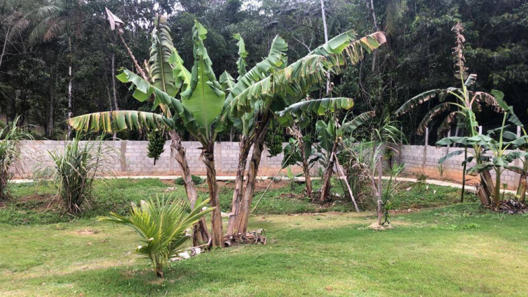 Imagem Chácara com 4 Quartos à Venda, 300 m² em Parque Serra Mar - Peruíbe Imagem Chácara com 4 Quartos à Venda, 300 m² em Parque Serra Mar - Peruíbe
