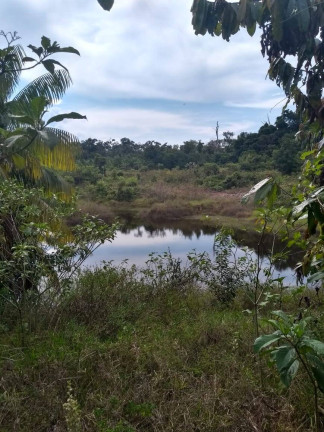 Imagem Chácara à Venda, em Manaus Imagem Chácara à Venda, em Manaus