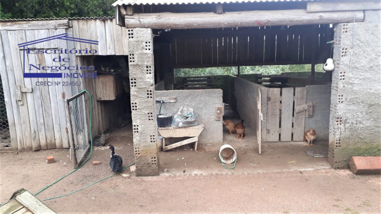 Imagem Imóvel com 3 Quartos à Venda, 120 m² em Cerro Chato - Sentinela Do Sul
