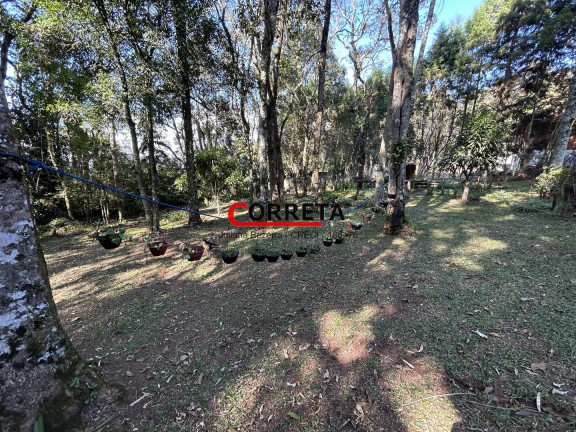 Imagem Casa com 3 Quartos à Venda, 2.000 m² em Centro - Ibiúna Imagem Casa com 3 Quartos à Venda, 2.000 m² em Centro - Ibiúna