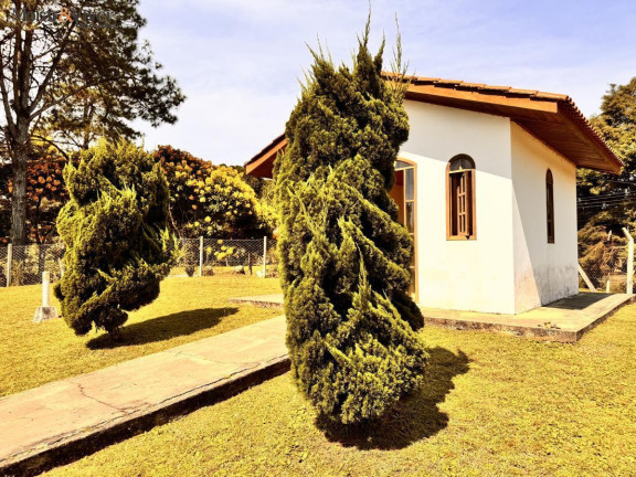 Imagem Chácara com 4 Quartos à Venda, 7.700 m² em Loteamento Chácara Chantecler - Piraquara Imagem Chácara com 4 Quartos à Venda, 7.700 m² em Loteamento Chácara Chantecler - Piraquara
