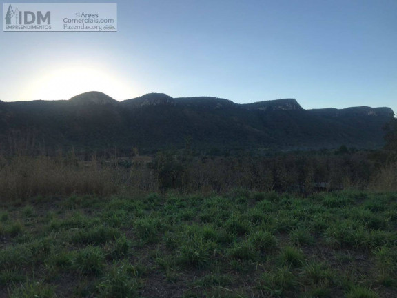 Imagem Chácara à Venda, 2.090.000 m² em Centro - Lajeado Imagem Chácara à Venda, 2.090.000 m² em Centro - Lajeado