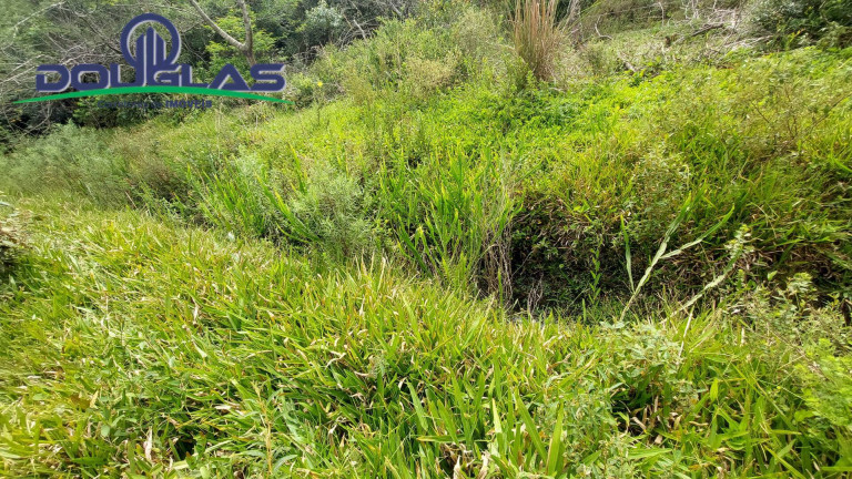 Imagem Chácara à Venda, 20.000 m² em águas Claras - Viamão Imagem Chácara à Venda, 20.000 m² em águas Claras - Viamão