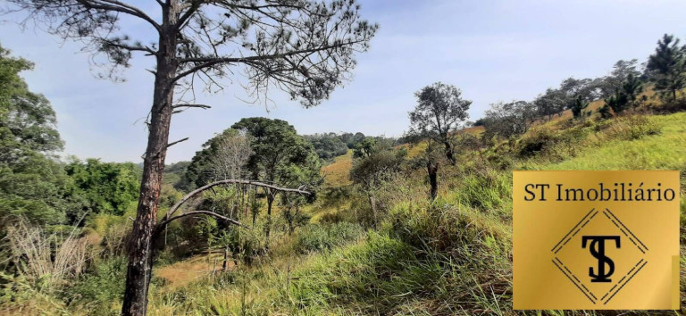 Imagem Chácara com 3 Quartos à Venda, 72.000 m² em Estância Santa Maria Do Portão - Atibaia Imagem Chácara com 3 Quartos à Venda, 72.000 m² em Estância Santa Maria Do Portão - Atibaia