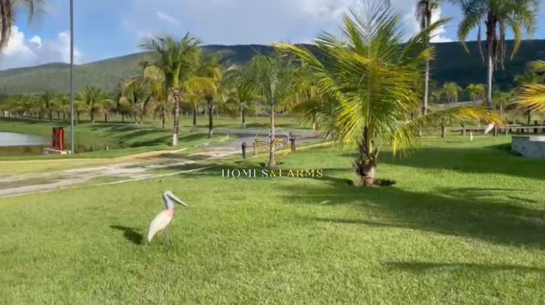 Imagem Imóvel com 4 Quartos à Venda, 3.146 m² em Zona Rural - Minaçu Imagem Imóvel com 4 Quartos à Venda, 3.146 m² em Zona Rural - Minaçu