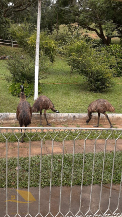 Imagem Chácara com 5 Quartos à Venda, 250 m²
