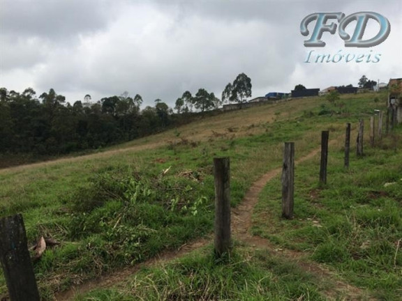 Terreno à Venda, 44.000 m² em Terra Preta (terra Preta) - Mairiporã