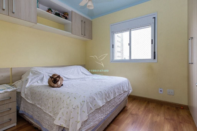 Imagem Apartamento com 2 Quartos à Venda, 81 m² em Aclimação - São Paulo Imagem Apartamento com 2 Quartos à Venda, 81 m² em Aclimação - São Paulo