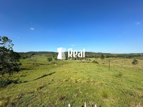Imagem Fazenda à Venda, 1.300.000 m² em Centro - Mata De São João Imagem Fazenda à Venda, 1.300.000 m² em Centro - Mata De São João