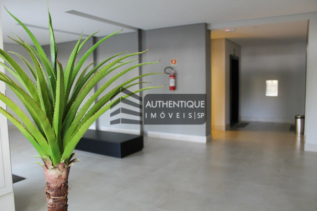 Imagem Apartamento com 2 Quartos à Venda, 60 m² em Jardim Marajoara - São Paulo Imagem Apartamento com 2 Quartos à Venda, 60 m² em Jardim Marajoara - São Paulo