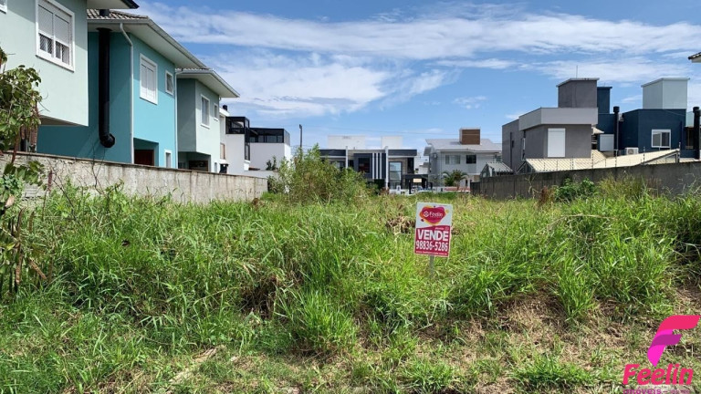 Imagem Terreno à Venda, 450 m² em Ribeirão Da Ilha - Florianópolis
