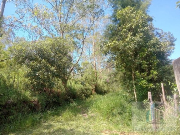 Imagem Terreno à Venda, 1.300 m² em Jardim Dos Eucaliptos - Suzano Imagem Terreno à Venda, 1.300 m² em Jardim Dos Eucaliptos - Suzano