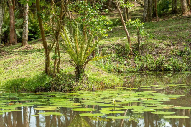 Imagem Imóvel à Venda, 111 m² em Rio Do Meio - Camboriú