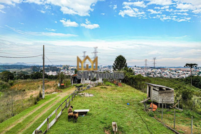 Imagem Terreno à Venda, 44.900 m² em Barro Preto - São José Dos Pinhais Imagem Terreno à Venda, 44.900 m² em Barro Preto - São José Dos Pinhais