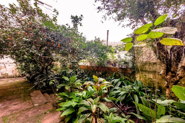 Imagem Casa com 3 Quartos à Venda, 240 m² em Petrópolis - Porto Alegre