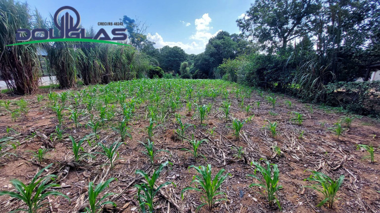Imagem Terreno à Venda, em águas Claras - Viamão Imagem Terreno à Venda, em águas Claras - Viamão