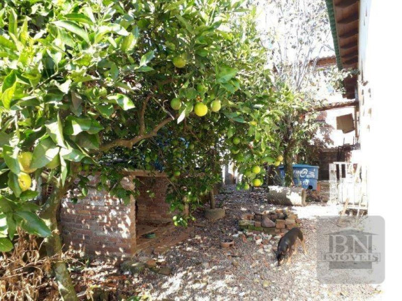 Imagem Casa com 3 Quartos à Venda, 116 m² em São João - Santa Cruz Do Sul