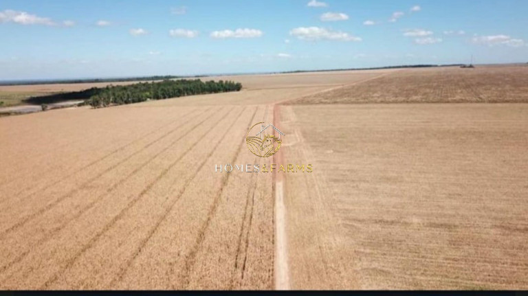 Imóvel com 3 Quartos à Venda, 39.000 m² em Zona Rural - Confresa