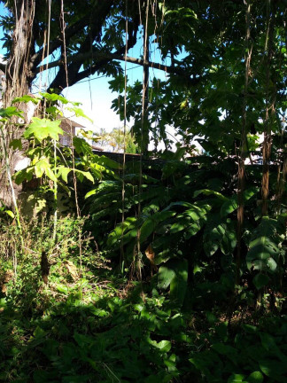 Imagem Terreno à Venda, 240 m² em Taboão - São Bernardo Do Campo Imagem Terreno à Venda, 240 m² em Taboão - São Bernardo Do Campo