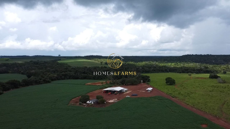 Imagem Imóvel com 3 Quartos à Venda, 1.349 m² em Centro - Primavera Do Leste Imagem Imóvel com 3 Quartos à Venda, 1.349 m² em Centro - Primavera Do Leste